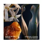 Lady Million- Perfume Mujer EDP Paco Rabanne - Imagen 3